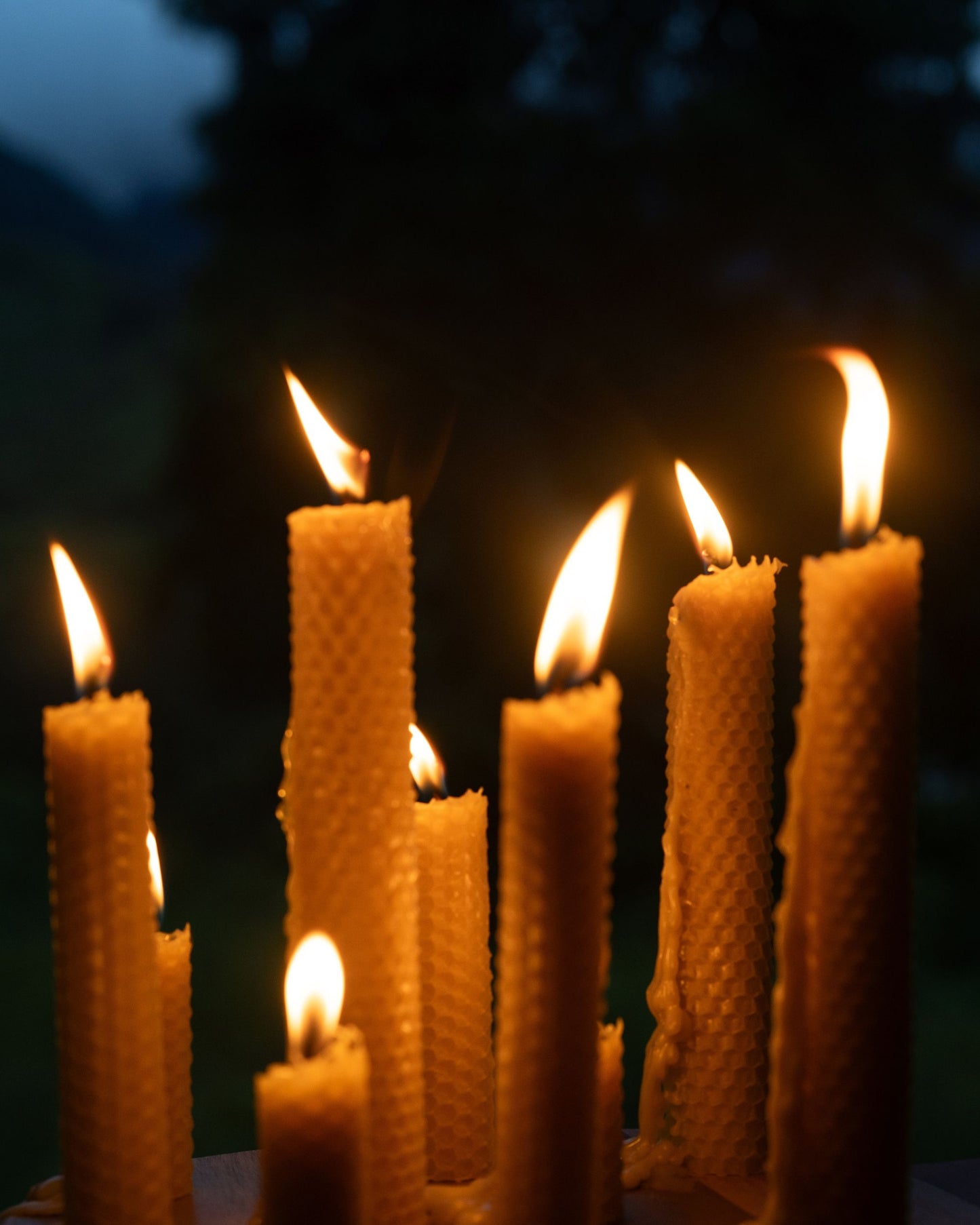 Velas 100% Cera de Abejas (Pack 3)
