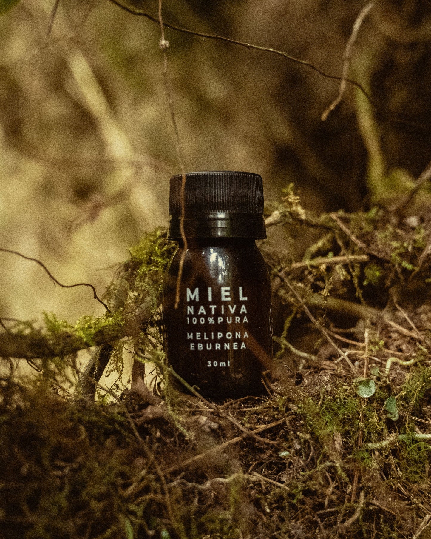 Miel Nativa 100% - Melipona Eburnea